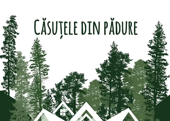 Casutele Din Padure