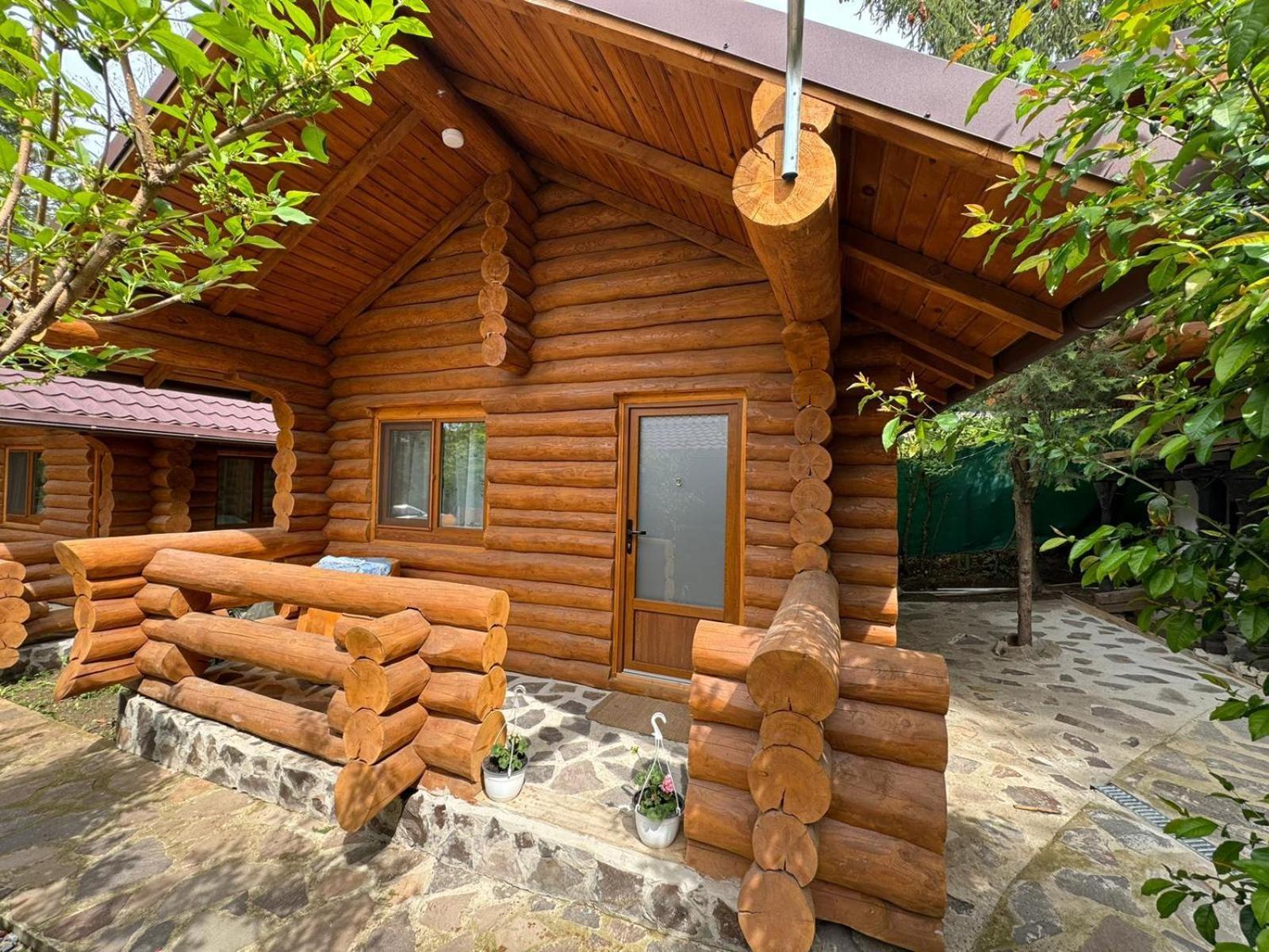 Casutele Din Padure Hébergement de vacances Buzău